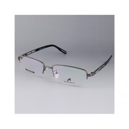 Titanium Alloy IP Electroplated Frame (Silver) M.